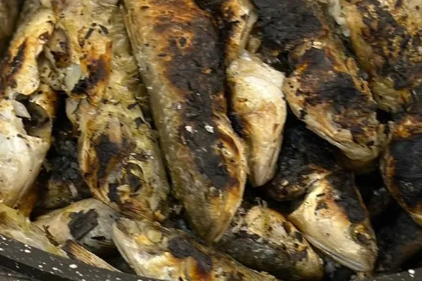 غذاهای دریایی سنتی جنوب ایران